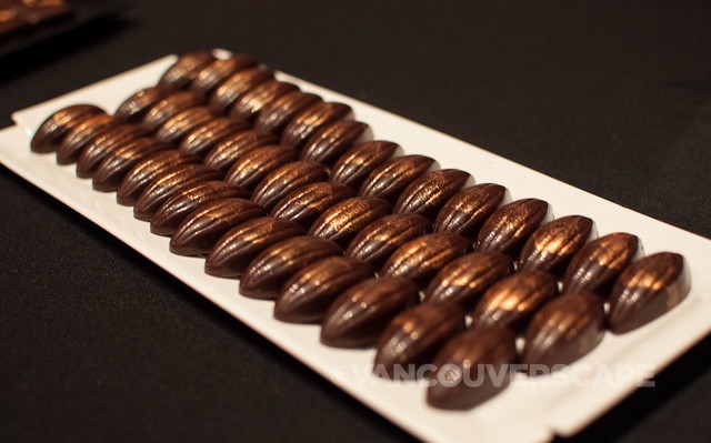 Chocolate Arts: Honey and rosemary dark chocolates