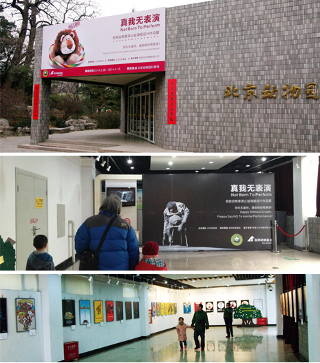 "Not born to perform" exhibition at Beijing zoo