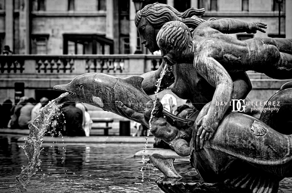Trafalgar Square, London - Dolphins and Mermaids Fountains in Black and White Photography - David Gutierrez Photography, London Photographer