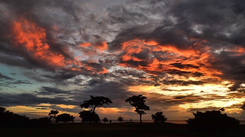 ocean trees sunset sky beach silhouette clouds evening coast golfcourse coastline nicaragua granpacifica
