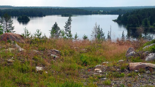 summer lake forest finland geotagged ks july kuusamo fin 2014 koillismaa 201407 20140715 penikkajärvi geo:lat=6577433512 geo:lon=2966385842 ahvenkangas ahvenniemi