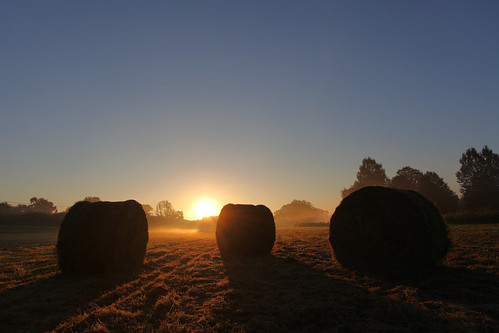 sunrise dawn farming straw bales