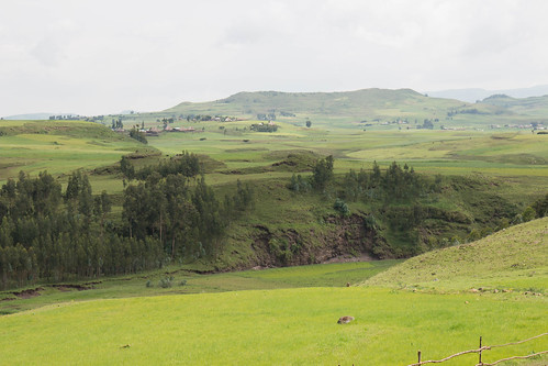 views ethiopia grassland et addisadaba sulultaplain