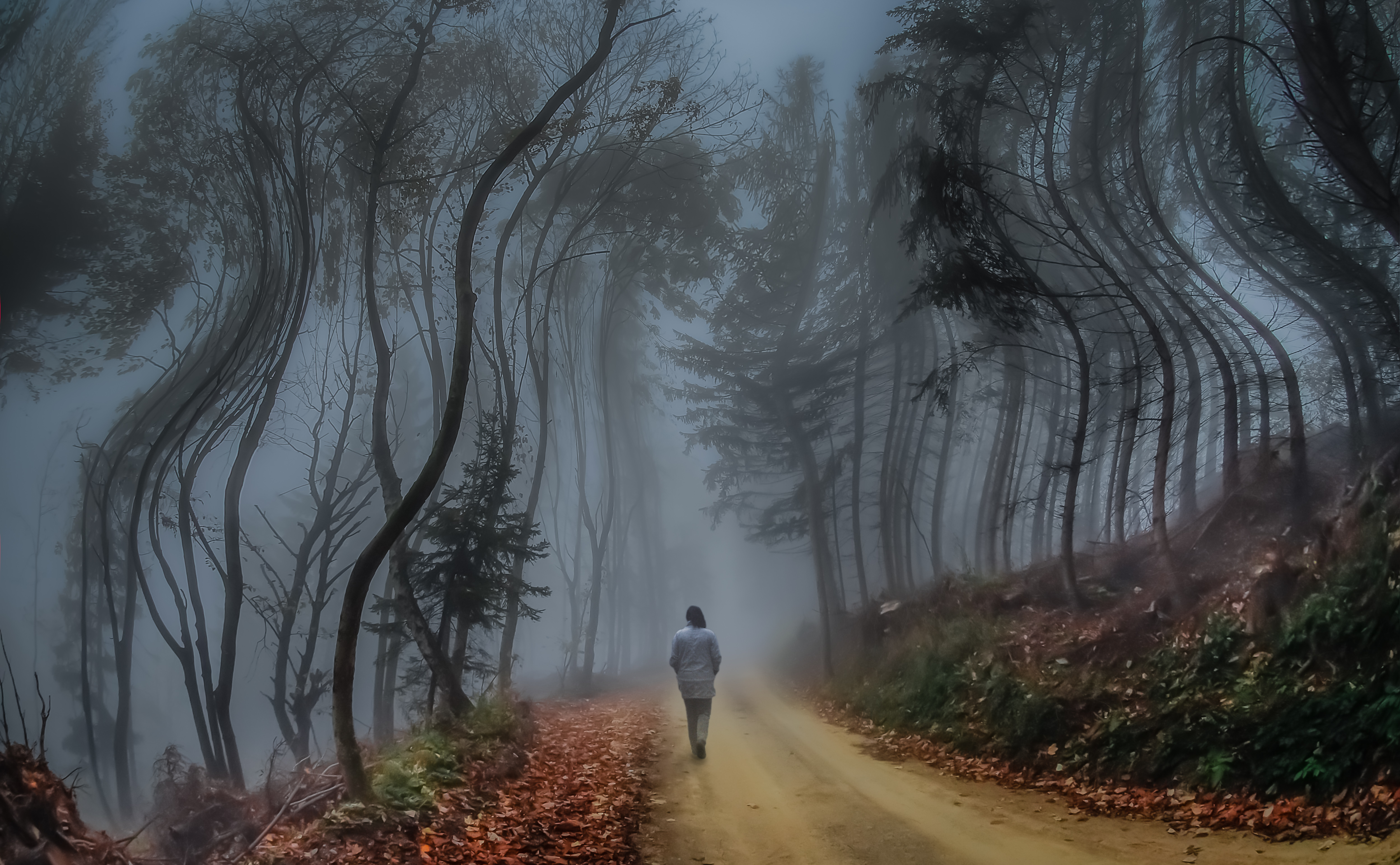 Стихотворение не бойся тумана. Человек в тумане. Страх в тумане. Человек в тумане арт. Мистический туман.