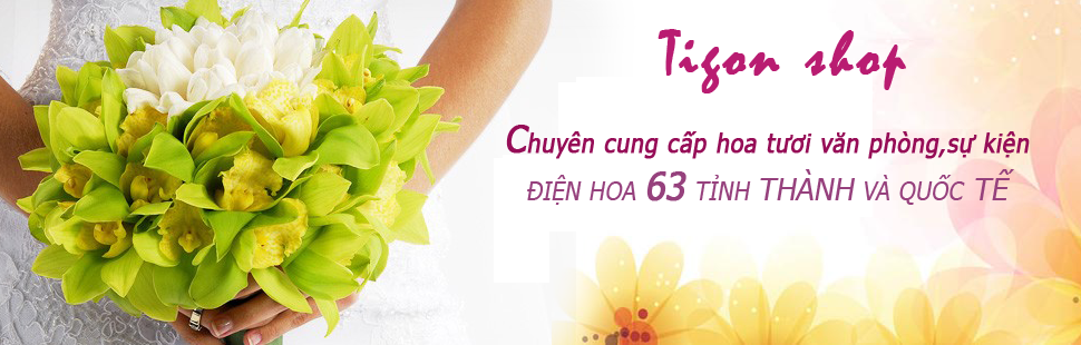 Shop Hoa Tigon