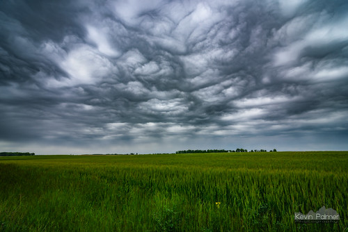 storm green field weather clouds spring cloudy wheat may indiana stormy warped farmland kingman veedersburg undulatusasperatus tokina1628mmf28 nikond750