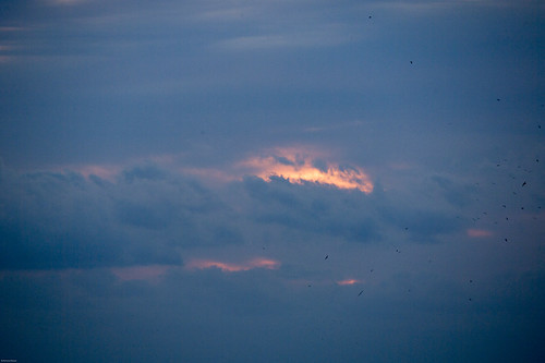 sea sun japan sunrise chiba 日本 太陽 thepacificocean 鴨川 千葉県 太平洋 日の出 ご来光 komogawa 太海 鴨川市