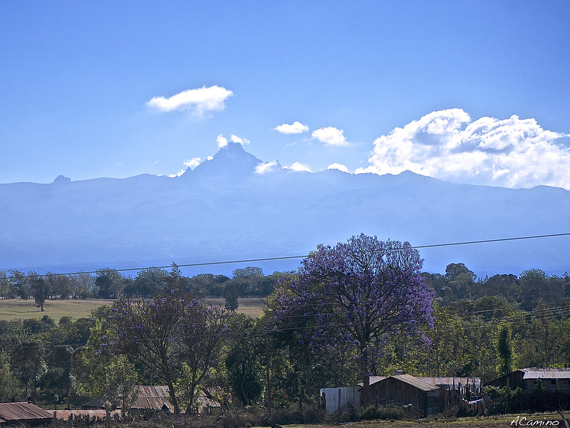 De Monte Kenia al Kilimanjaro. Un viaje agotador de 12 horas. - 12 días de Safari en Kenia: Jambo bwana (12)