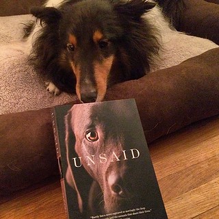 Reading a book on dogs.