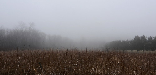 morning winter cloud mist fall fog haze day iowa coralville