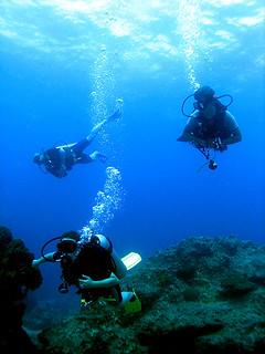 <img src="padi-diving-on-tioman-island-malaysia.jpg" alt="PADI Diving on Tioman Island, Malaysia" />