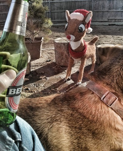 a beer, a dog and a raindeer.