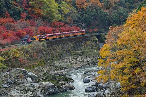 japan river kyoto autumnleaves 京都 紅葉 川 嵯峨野 保津峡 保津川 嵯峨野観光鉄道