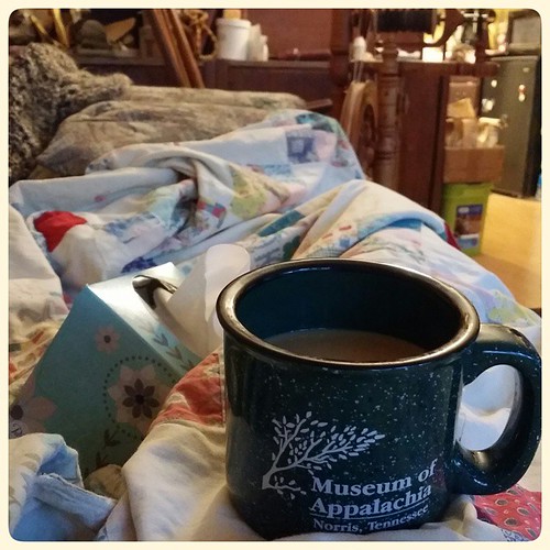 Hark! Is this a Sick Day which I see before me? #workathome #mugshotmonday #handmadequilt
