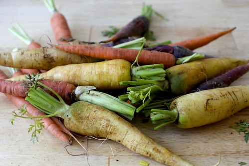 carrots, not having their best day