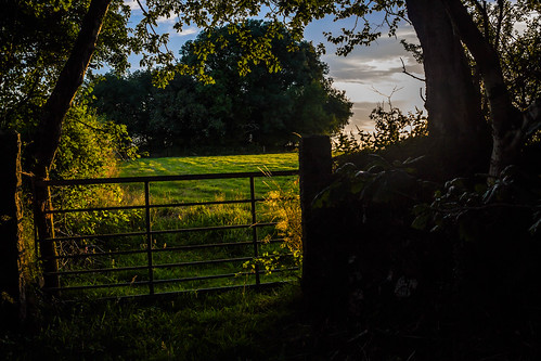 trees sunset summer field grass canon gate devon tamron tavistock 700d