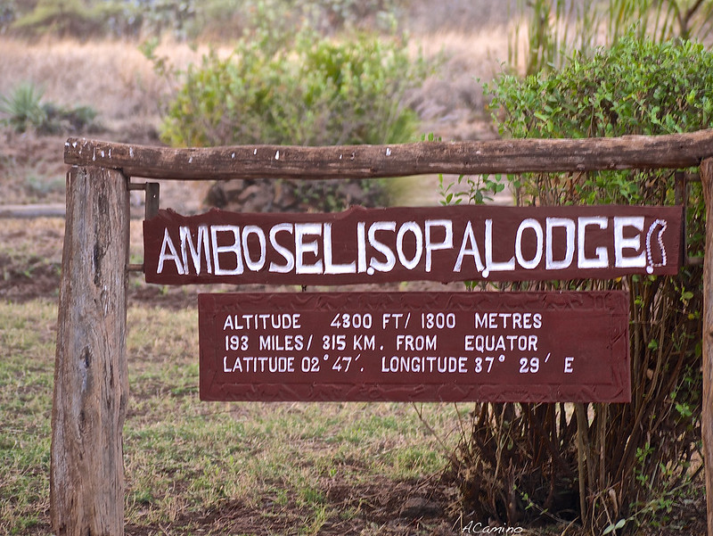 12 días de Safari en Kenia: Jambo bwana - Blogs de Kenia - Amboseli: Buscando la foto del elefante a los pies del Kilimanjaro (12)