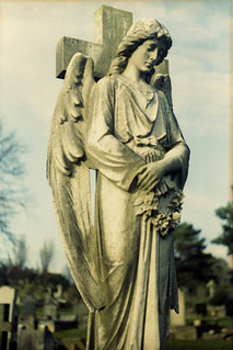 Abbey Lane Angel