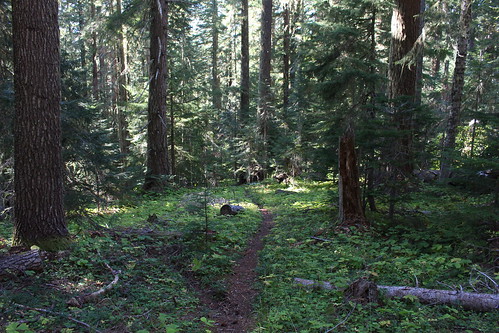 mountain lake oregon forest hiking lookout trail national wilderness waldo willamette wsweekly105