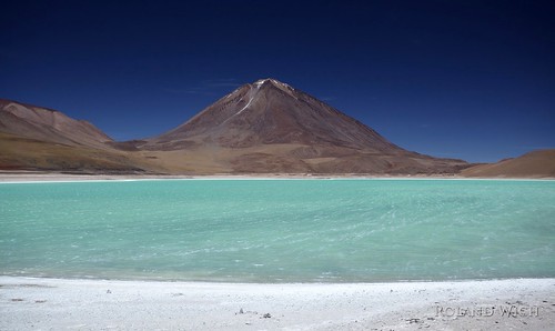 parque lagune verde fauna de desert bolivia atacama laguna nacional eduardo bolivien wüste altiplano bolivie andina licancabur abaroa