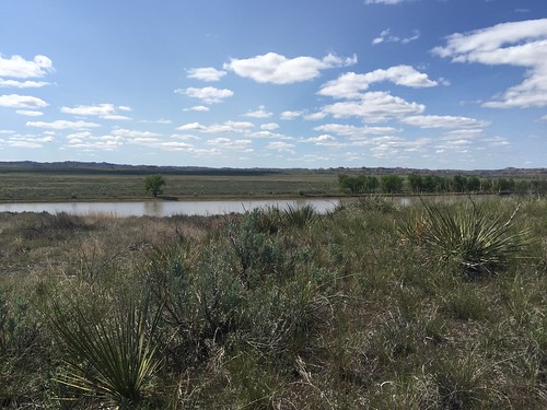 river montana bigsky prairie yellowstoneriver prairiecounty powderriver