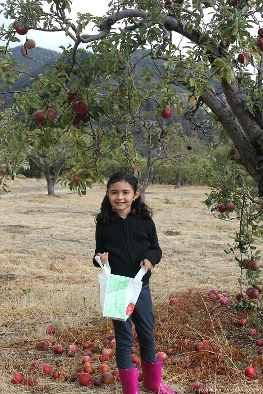 Temporada de manzanas Oak Glen California