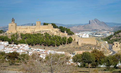 trees spain andalucia moorish fortress antequera