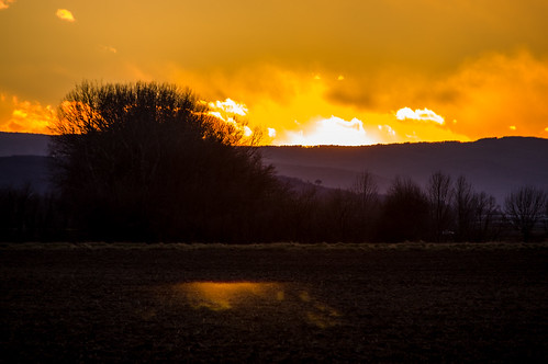 österreich burgenland siegendorf