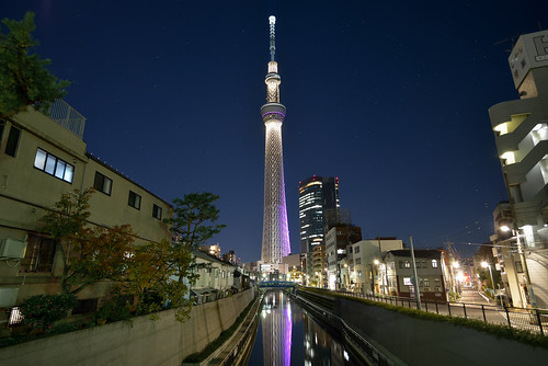 travel sky reflection tree tower japan architecture night river landscape star tokyo sightseeing landmark skytree