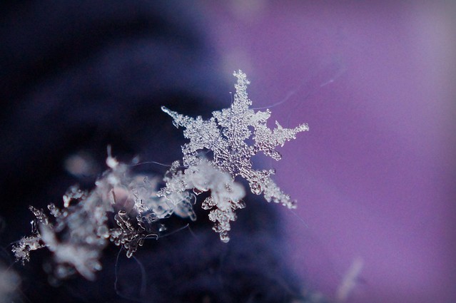 Macro Snowflake Tutorial by Seven Sisters Blog