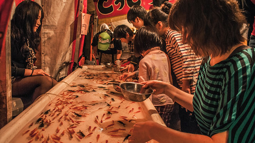 festival japan goldfish