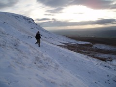 Running down from the top in the snow Image