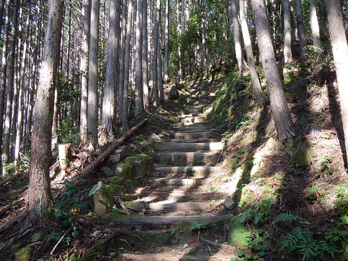 world heritage worldheritage kumanokodo 世界遺産　熊野古道