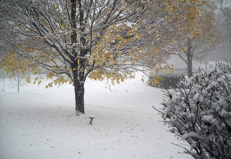 South Bend Record November 13 Snowfall