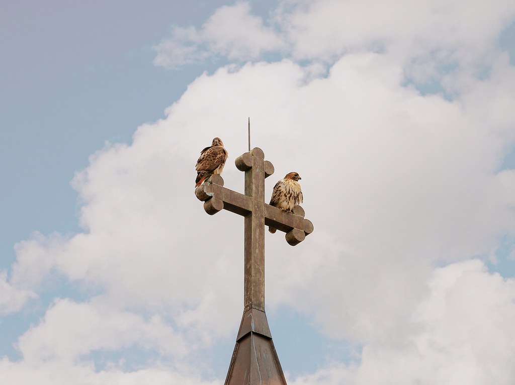 Christo and Dora atop St Brigids