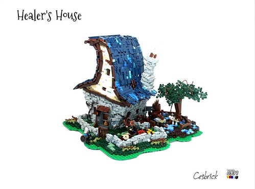 Maester Finley Healer's House
