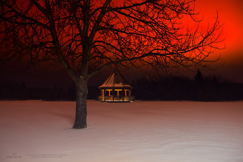 park winter red orange snow canada tree photography nikon branches canadian gazebo glowing saskatchewan d800 yorkton canadianphotographer ianmcgregor ianmcgregorphotographycom