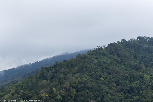 sky cloud mountain tree green berg forest canon landscape thailand nationalpark 85mm himmel 1740mm 6d benbna tambonkhlongnamlai changwatkamphaengphet