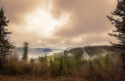 columbiarivergorge chanticleer point chanticleerpoint fog river crownpoint trees onone explore