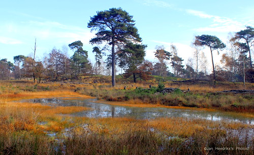 autumn nature netherlands canon landscape herbst natur herfst nederland natuur landschaft limburg landschap niederlande limburgslandschap canon600d janneman2007