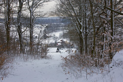 schnee winter snow saxony sachsen erzgebirge waldkirchen
