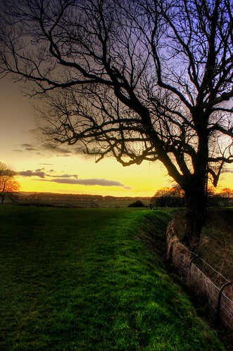 old winter sunset tree fence bare salisbury wiltshire moat hdr sarum