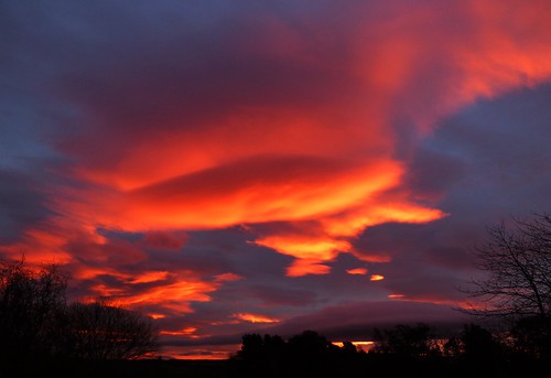 new eve trees nature weather clouds sunrise scotland skies year silhouettes hogmanay