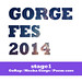 V.A. / GORGE FES 2014