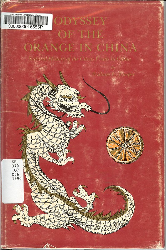 Odyssey of the Orange in China