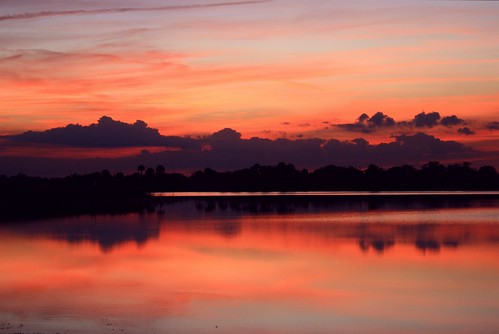pink sunset usa lake reflection fall nature beauty skyscape landscape still colorful unitedstates natural florida cove chocolate horizon shoreline peach peaceful clear serenity swirls rays curve cloudscape southflorida sawgrass naturephotography palmbeachcounty lakescape pastelcolors pastelglow christmasdream clearcolor artisticsunsetphotography christmasdaypost whitelinehorizon