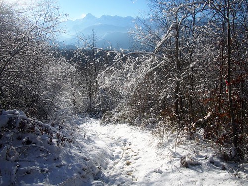 path neige sentier chemin oust pyrénées pirineos ariège valier couserans pathscaminhos coumariau
