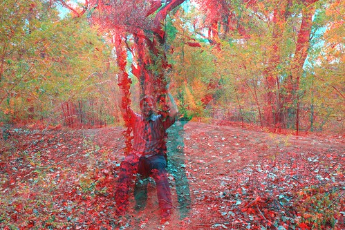 blue red newmexico america canon photography 3d albuquerque anaglyph bosque redblue 3dglasses americansouthwest 3dimensional 3deffect 3dimages fallpictures 3dimage 3dtrees seasonfall 3dpicture anaglyph3d anaglyphglasses 3dglassesrequired treesinthefall albuquerquebosque southweasternus 3dpicturesnewmexico 3dfallpictures fallin3d redblueglassesneeded modelin3d bosquein3d