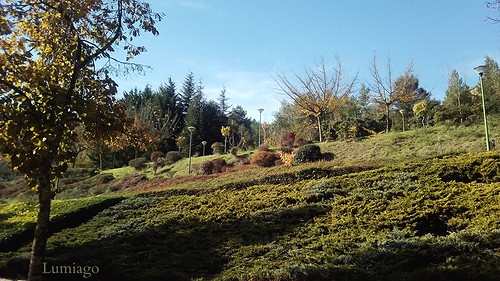 españa naturaleza spain paisaje otoño burgos castillayleón