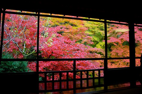 京都：瑠璃光院（2014.11.23）